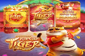 betboo login